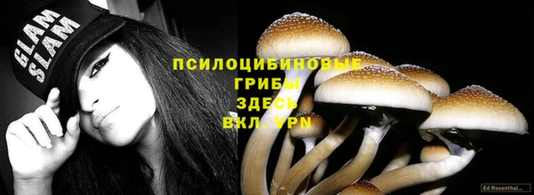индика Горняк