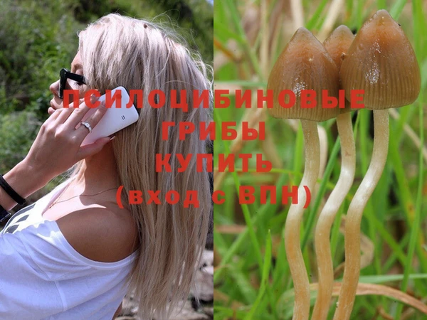 круглые Горно-Алтайск