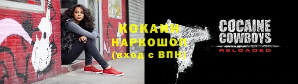 индика Горняк