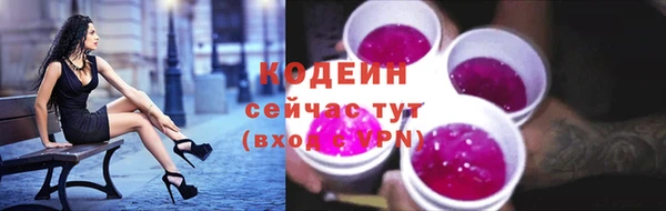 дживик Анжеро-Судженск