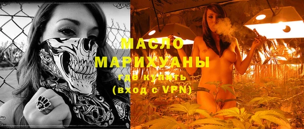 индика Горняк