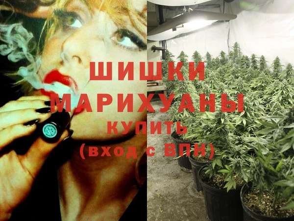 индика Горняк