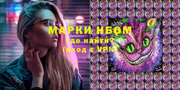 индика Горняк