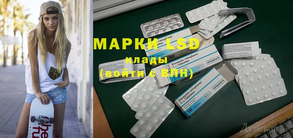 индика Горняк