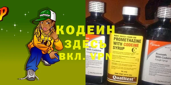 индика Горняк