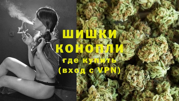 МДПВ Анива