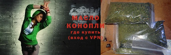 индика Горняк