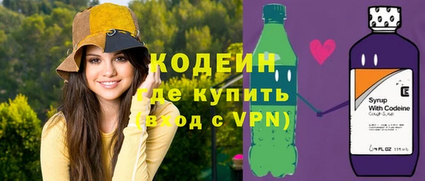 индика Горняк