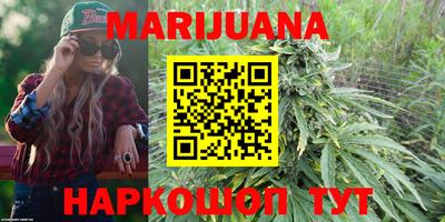 индика Бийск