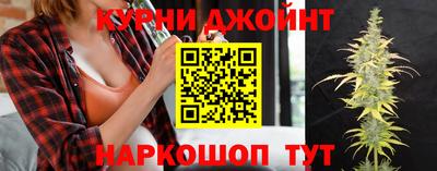 гидра Беслан