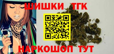 индика Бийск