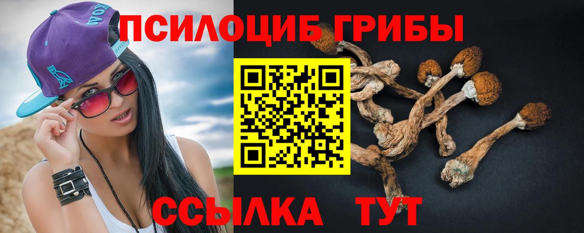 Галлюциногенные грибы Psilocybine cubensis Десногорск